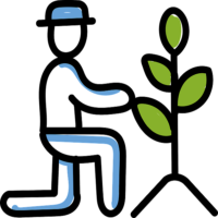 水耕栽培に必要な液肥の主要栄養素について